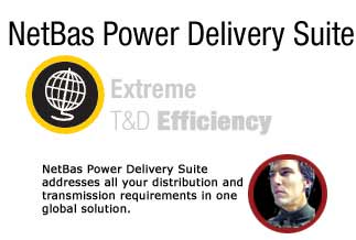 NetBas Power Delivery Suite:  Extreme T and D Efficiency